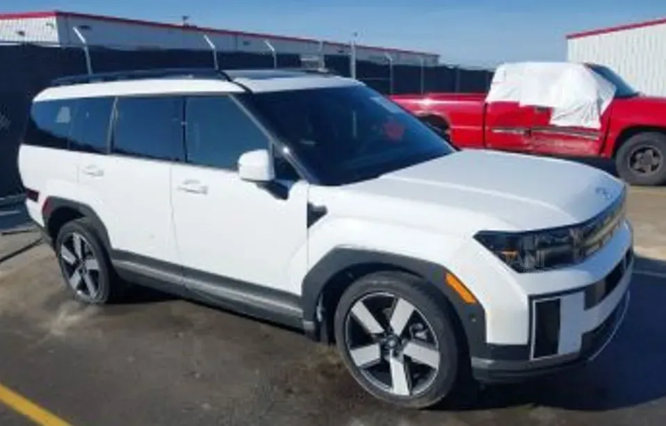 Hyundai Santa Fe 2024 თბილისი - photo 8