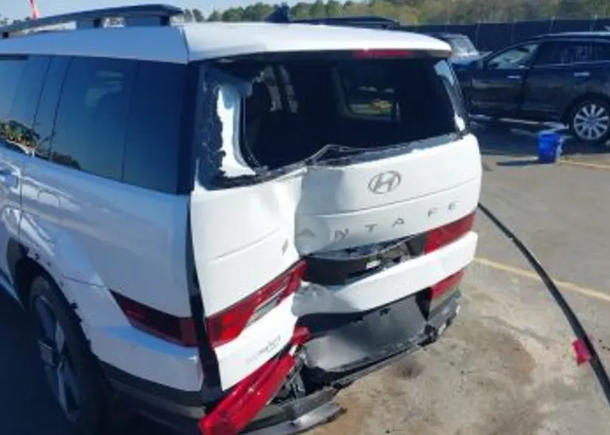 Hyundai Santa Fe 2024 თბილისი - photo 4