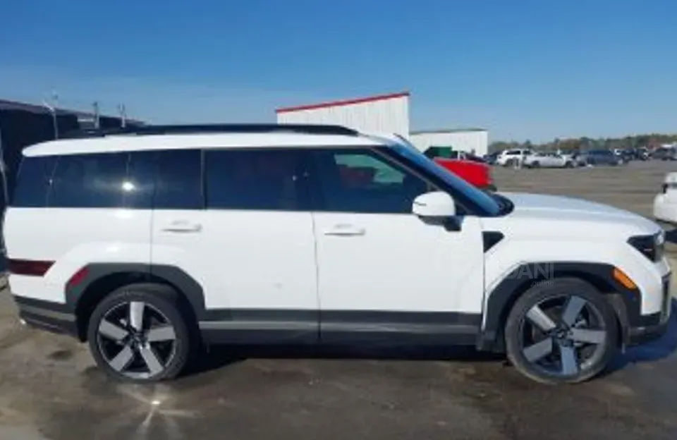 Hyundai Santa Fe 2024 თბილისი - photo 3