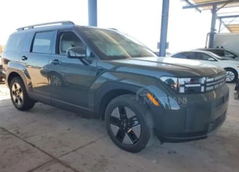 Hyundai Santa Fe 2024 თბილისი - photo 7