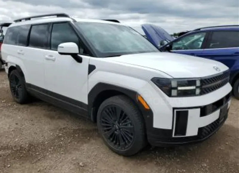 Hyundai Santa Fe 2024 თბილისი - photo 4