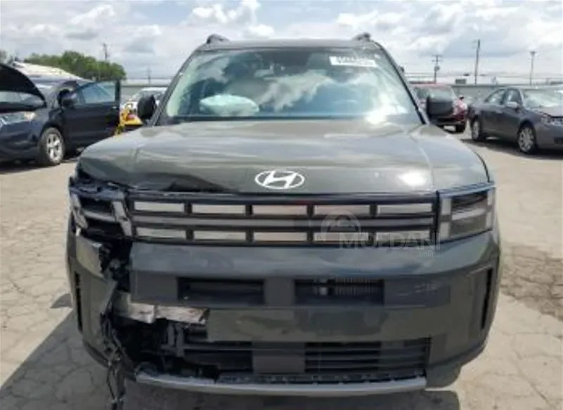 Hyundai Santa Fe 2024 თბილისი - photo 1