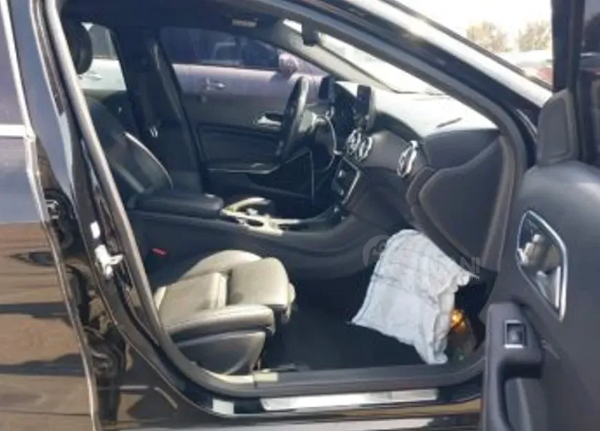 Mercedes GLA 2L 2 თბილისი - photo 7