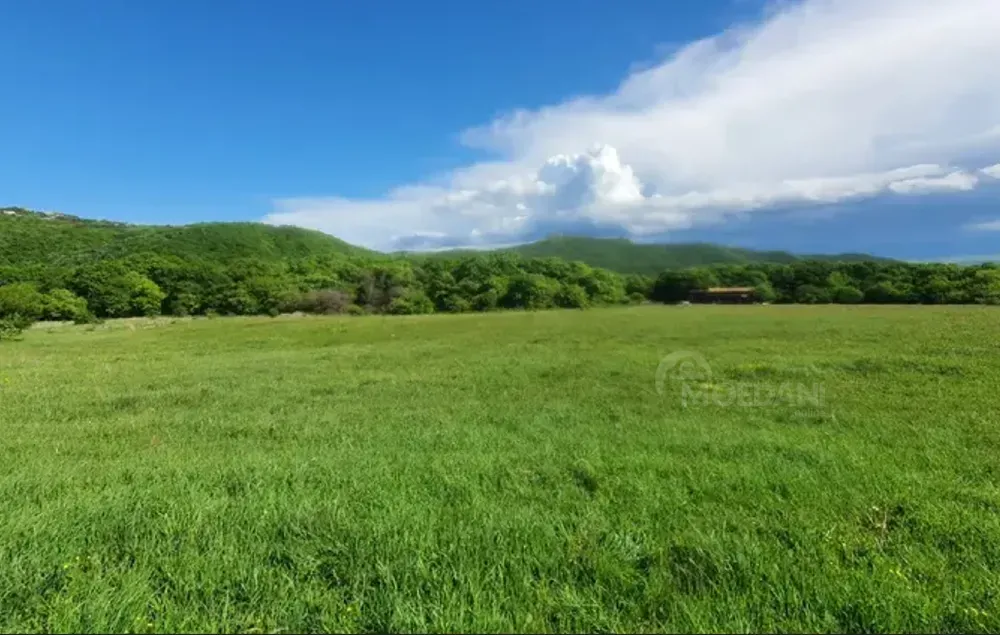 იყიდება მიწის ნაკვეთი 2000м² თბილისი - photo 1