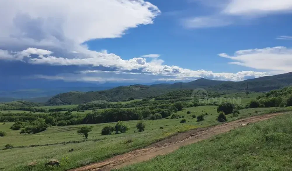 იყიდება მიწის ნაკვეთი 2000м² თბილისი - photo 5