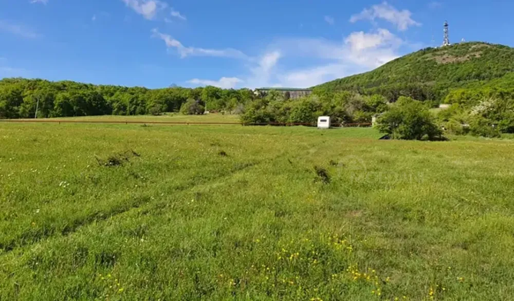 იყიდება მიწის ნაკვეთი 2000м² თბილისი - photo 6