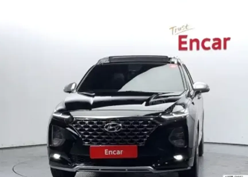 Hyundai Santa Fe 2019 თბილისი - photo 1