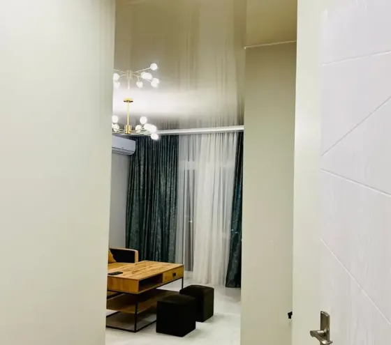Short Term Rentals two-room 55m² 8/14 floor Batumi