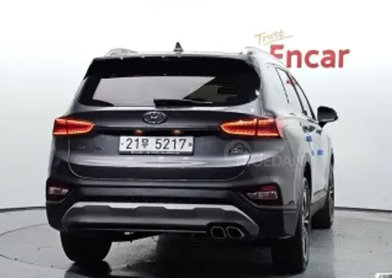 Hyundai Santa Fe 2019 თბილისი - photo 3