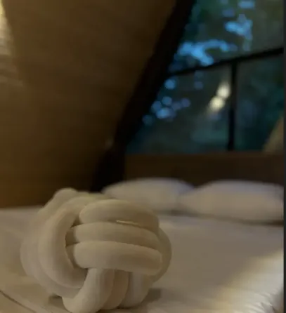 ქირავდება დღიურად სახლი 60м² ბათუმი