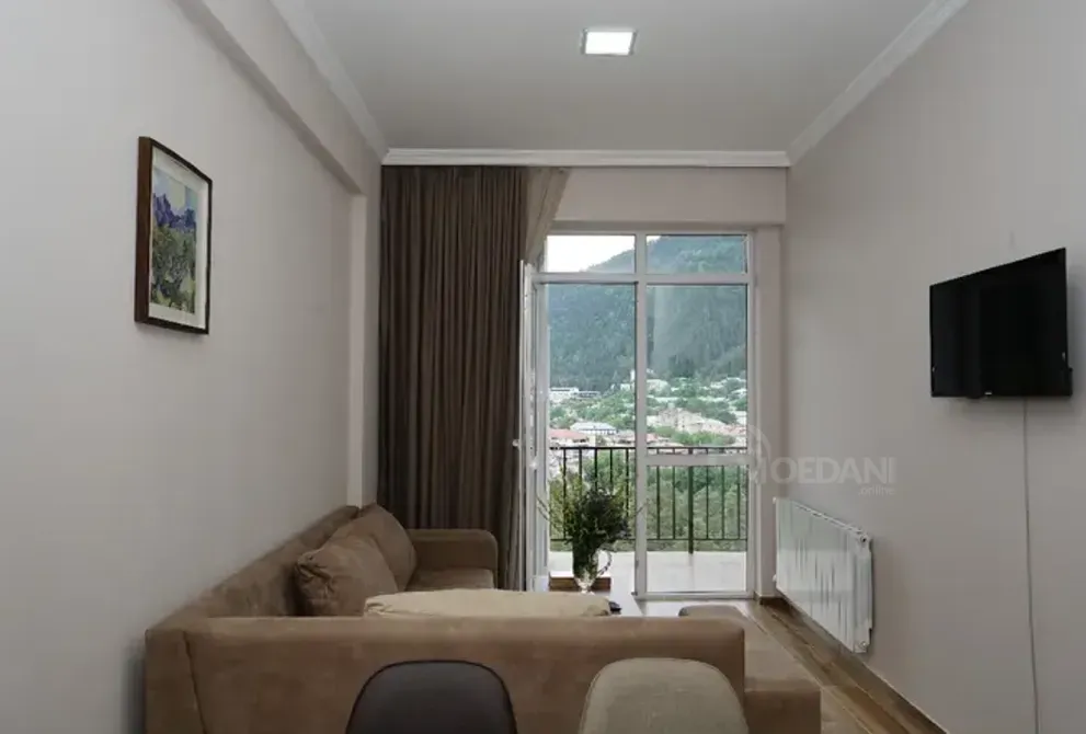 ქირავდება 2 ოთახიანი ბინა დღიურად ბორჯომი  45მ² 9/11 სართ ბორჯომი - photo 1