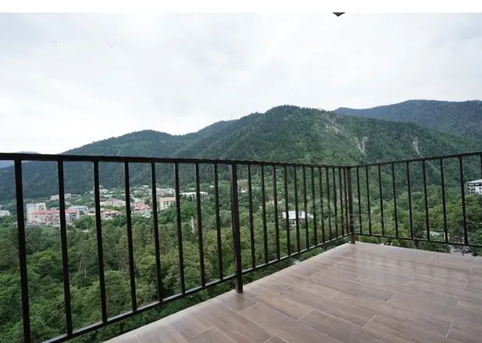 ქირავდება 2 ოთახიანი ბინა დღიურად ბორჯომი  45მ² 9/11 სართ ბორჯომი - photo 2