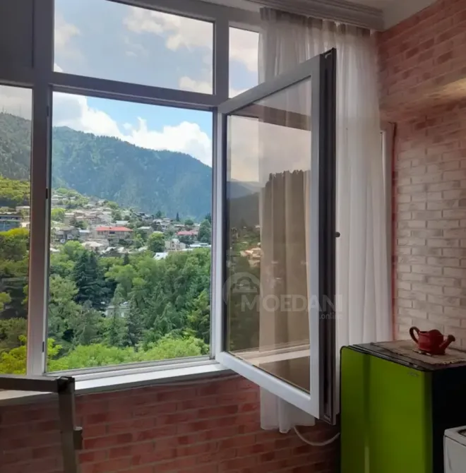 ქირავდება 1 ოთახიანი ბინა დღიურად ბორჯომი  25მ² 5/13 სართ ბორჯომი - photo 3