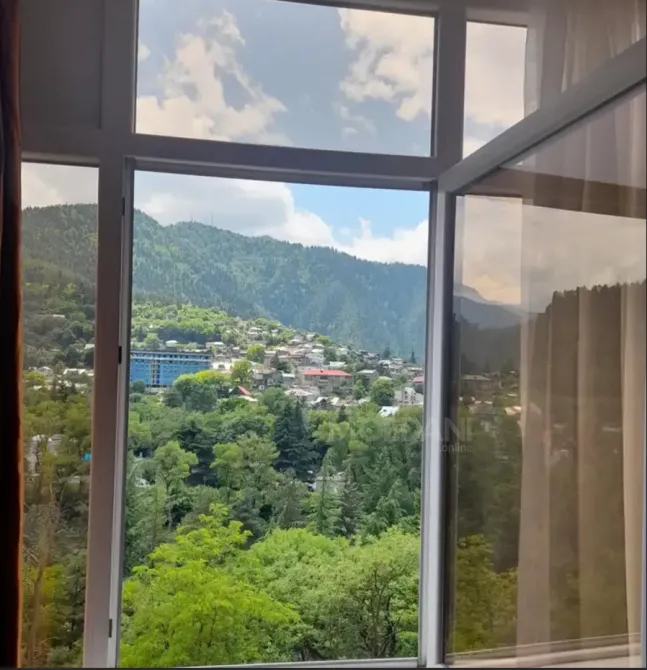 ქირავდება 1 ოთახიანი ბინა დღიურად ბორჯომი  25მ² 5/13 სართ ბორჯომი - photo 6