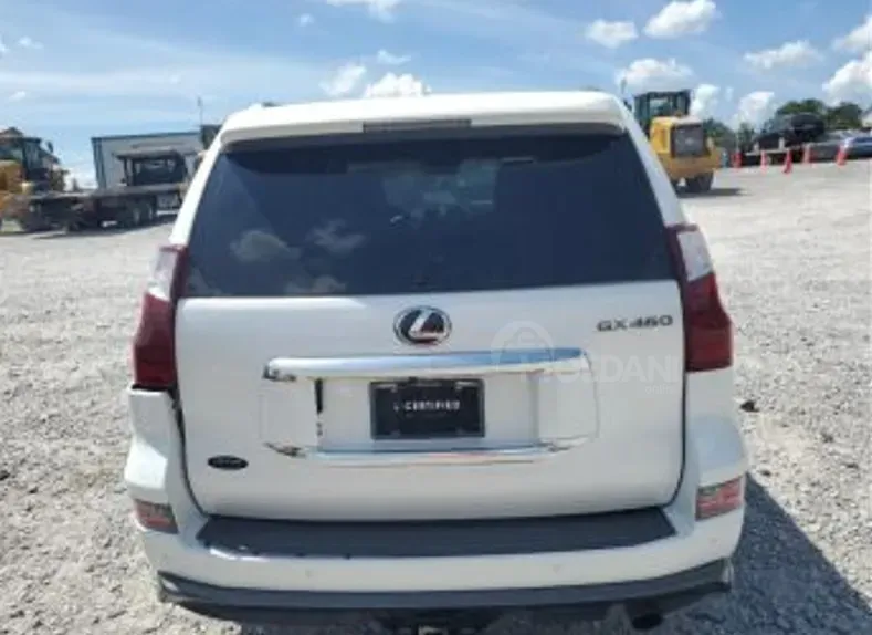 Lexus GX 2021 თბილისი - photo 4