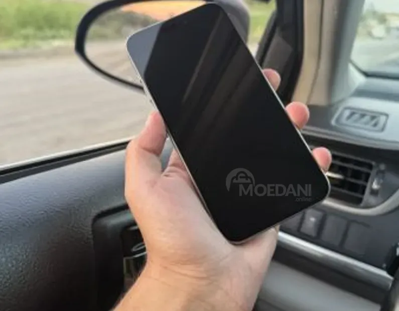 iPhone 15 Pro Max Titanium Natural 256 GB თბილისი - photo 3