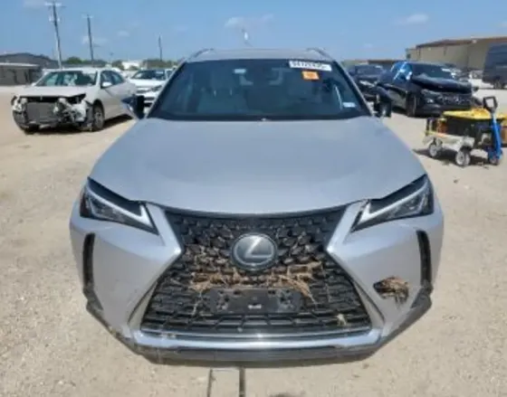 Lexus UX 2019 Тбилиси