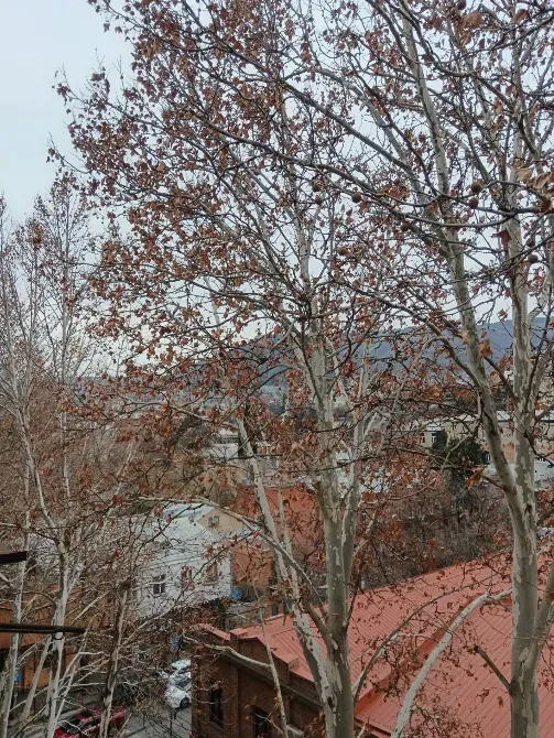 იყიდება 3 ოთახიანი ბინას 100მ² 5/5 სართ თბილისი - photo 2