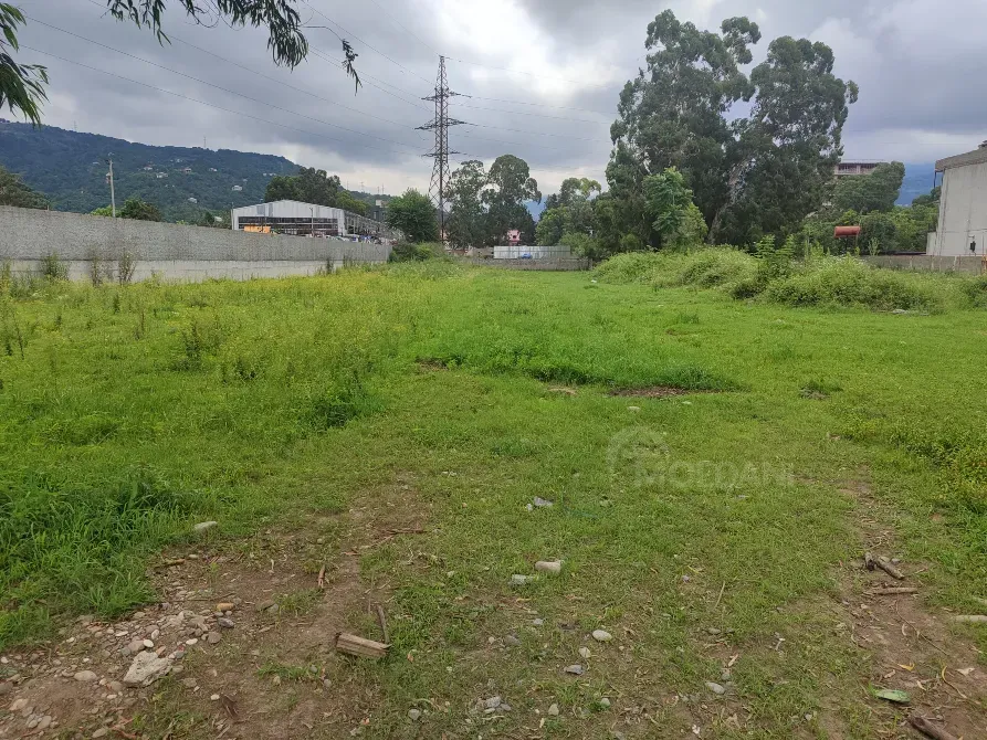 Продам земельный участок 3000м² Batumi - photo 4