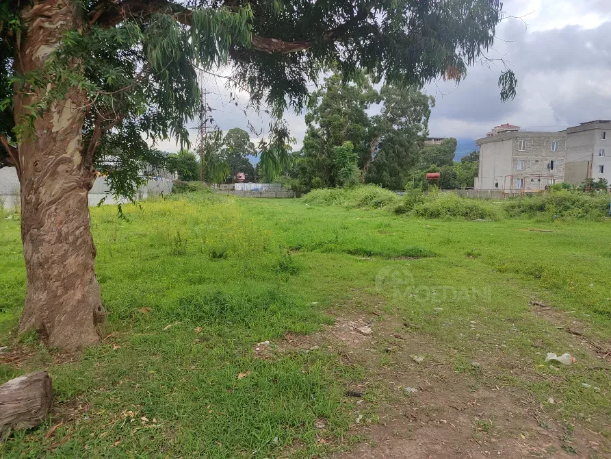 Продам земельный участок 3000м² Batumi - photo 1