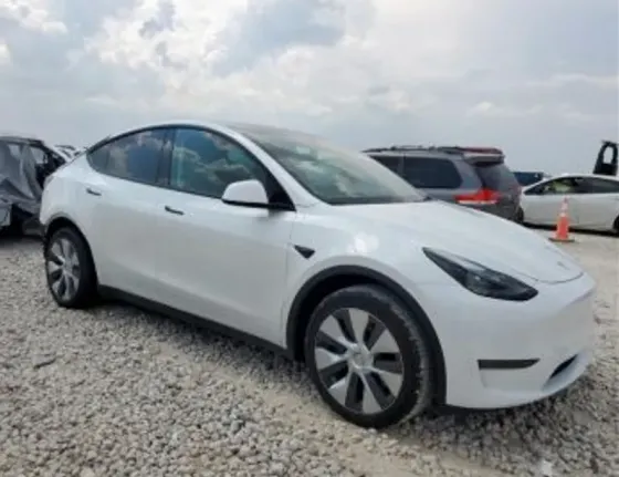 Tesla Model Y 2024 Тбилиси