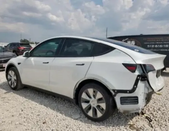 Tesla Model Y 2024 Тбилиси
