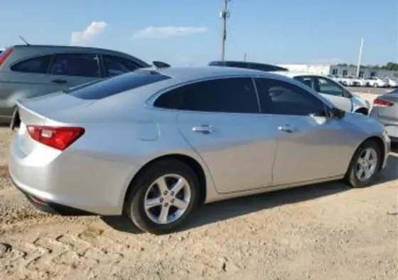 Chevrolet Malibu 2021 Тбилиси