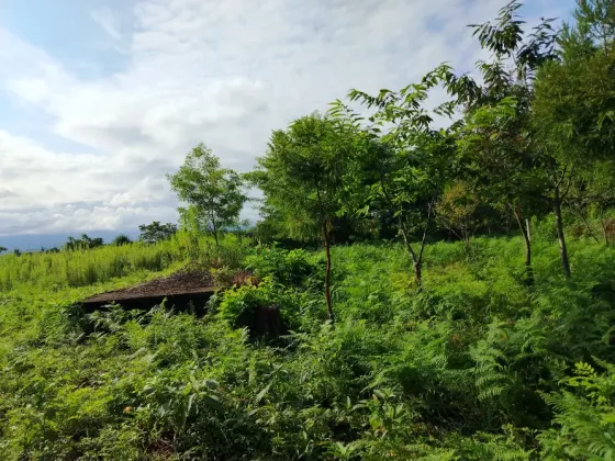 Продам земельный участок 653м² Kobuleti