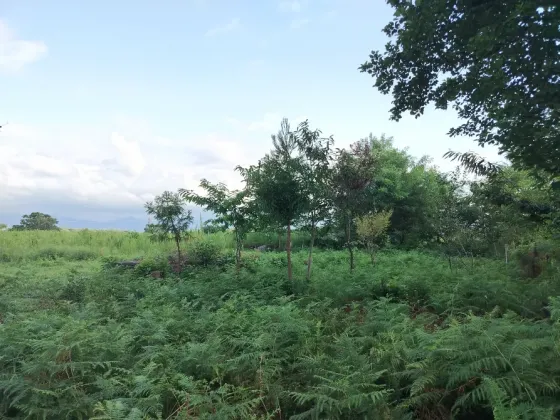 Продам земельный участок 653м² Kobuleti