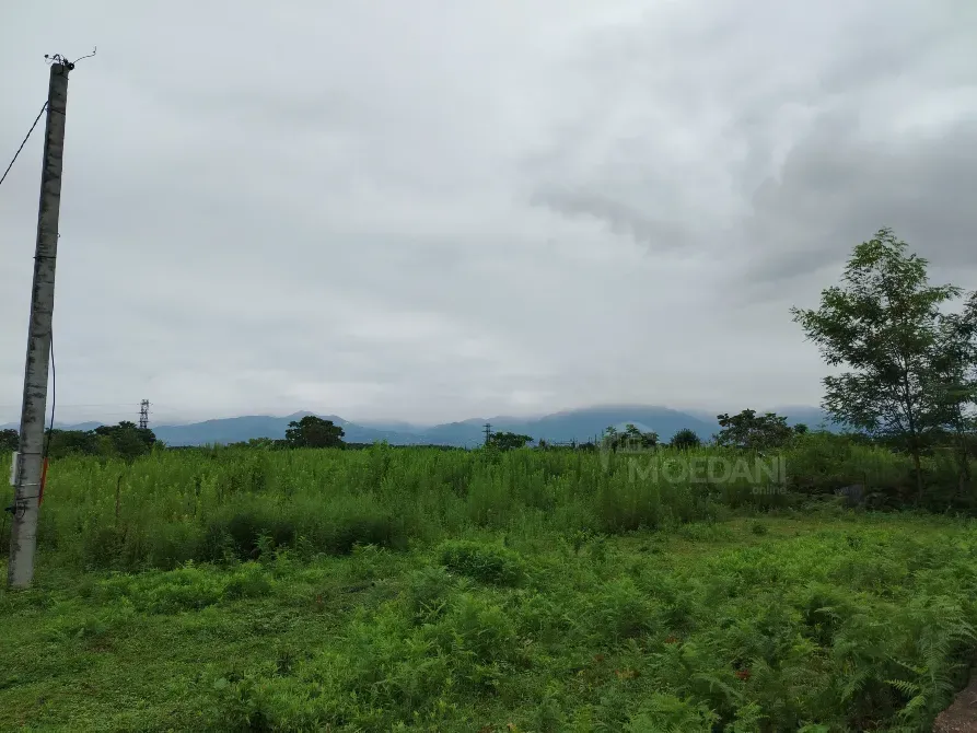 Продам земельный участок 653м² Kobuleti - photo 1