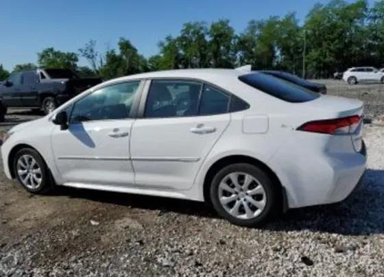 Toyota Corolla 2L 2024 Тбилиси