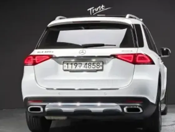 Mercedes GLE 2L 2020 Тбилиси