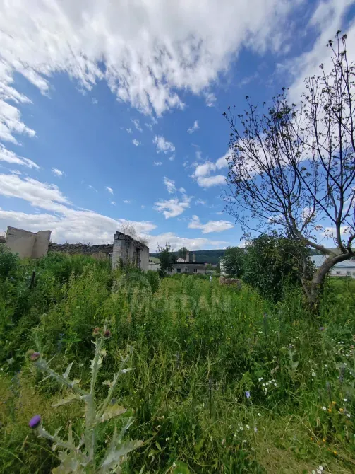 Продам земельный участок 1230м² Calka - photo 9