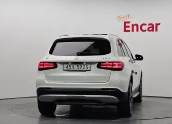 Mercedes GLC 2L 2019 Тбилиси