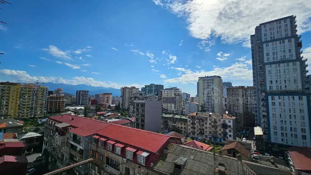 Apartments For Sale two-room 56м² 7/20 floor Batumi - photo 10