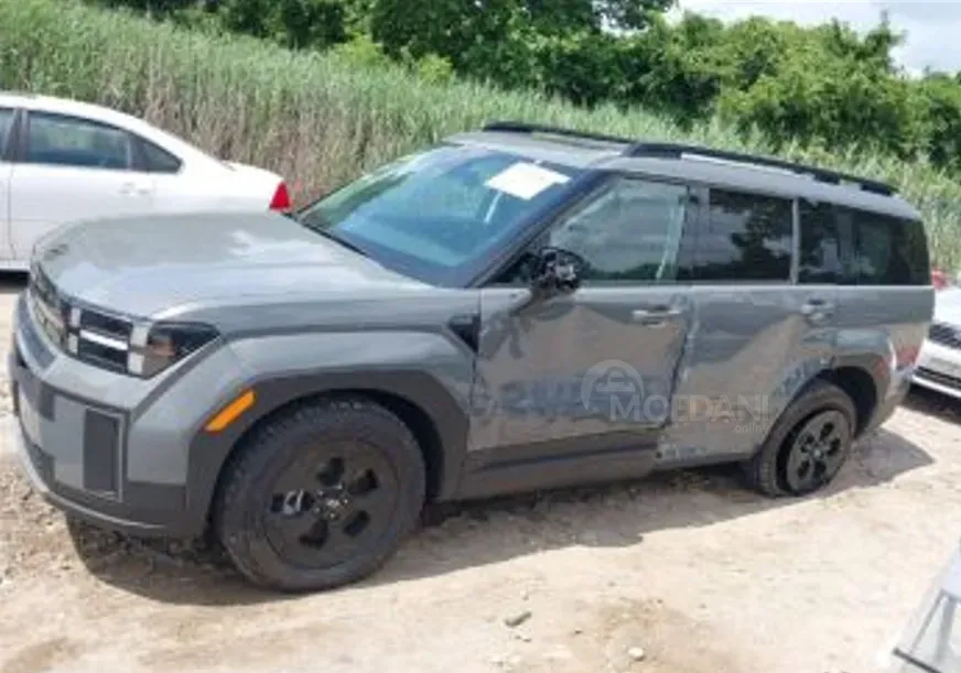 Hyundai Santa Fe 2024 თბილისი - photo 6