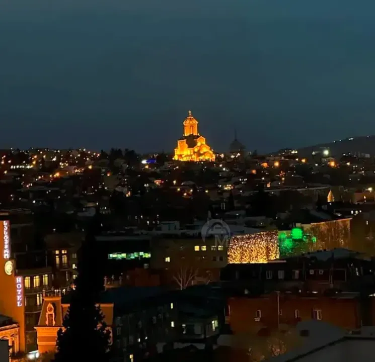 იყიდება 3 ოთახიანი ბინას 80მ² 13/13 სართ თბილისი - photo 13