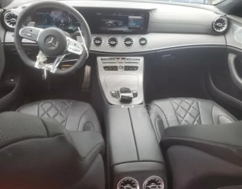 Mercedes CLS 3L 2 თბილისი - photo 4