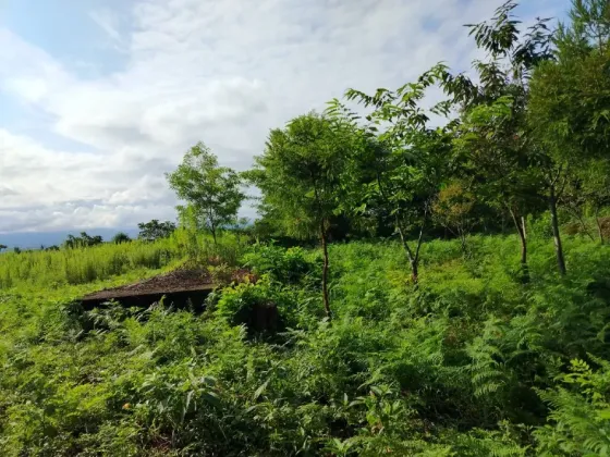 Продам земельный участок 500м² Kobuleti