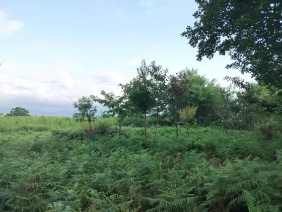 Продам земельный участок 500м² Kobuleti