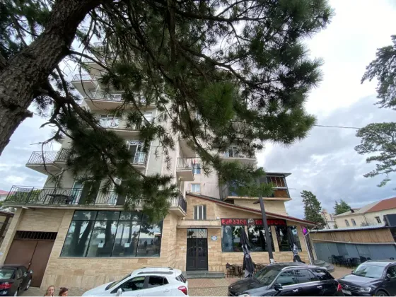 Продам 2-комн. квартиру 50.4м² 6/10 эт. Кобулети