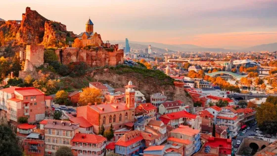 Водитель-помощник в Тбилиси Тбилиси