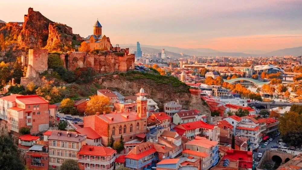 Водитель-помощник в Тбилиси Тбилиси - изображение 1