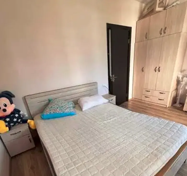 ქირავდება 2 ოთახიანი ბინა 45მ² 5/5 სართ თბილისი - photo 9