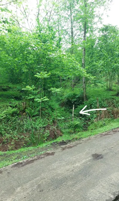 Продам земельный участок 1534м² Batumi - photo 11