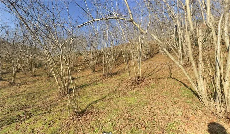 Продам земельный участок 1534м² Batumi - photo 2