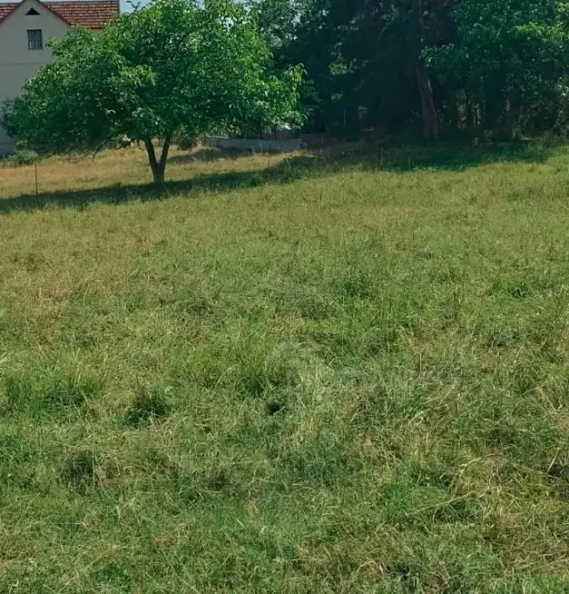 Продам земельный участок 500м² Tbilisi - photo 4