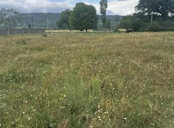 Продам земельный участок 2000м² Mckheta