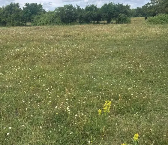 Продам земельный участок 2000м² Mckheta