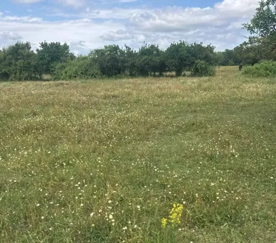 Продам земельный участок 2000м² Mckheta